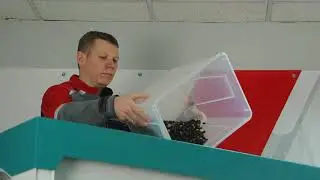 colour sorting of black raisin on SmartSort optical sorter
