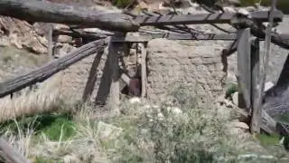 Picketwire Canyon Revisited (Dino Tracks & Native American Rock Art)