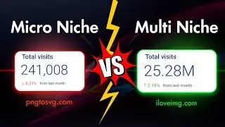 Micro Niche vs. Multi Niche Tool Website &ndash; What Should You Build? (Earning and Traffic Potential)