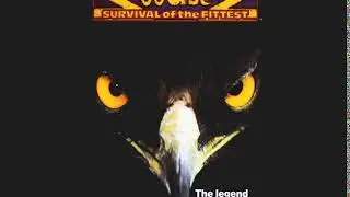Joust 2 Theme 2