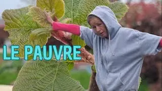 Je vole au secours de mon Kiwi...