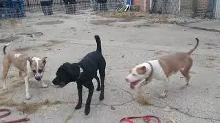 Carter, Toby + atlas