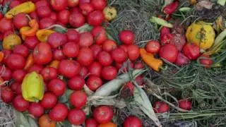 Why Compost?