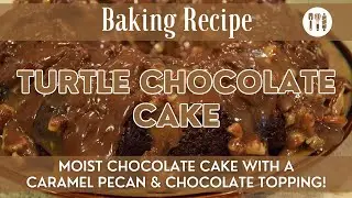 Turtle Chocolate Cake | Turtle Cake Recipe | Chocolate Cake with a Caramel Pecan & Chocolate Topping