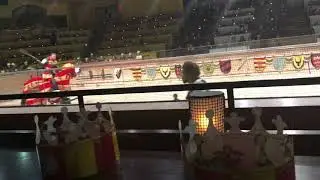 Medieval times fight 2019