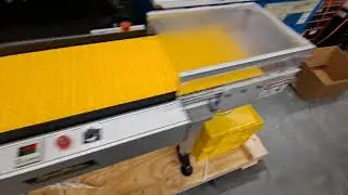 Item Counting Conveyor With Diverting Box Filler Switch