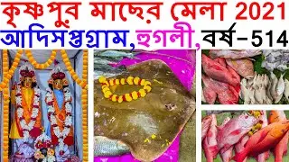 আদিসপ্তগ্রামের কৃষ্ণপুর মাছের মেলা 2021,হুগলী | ADISAPTAGRAM FISH FAIR 2021, KRISHNAPUR,HOOGHLY, TTG