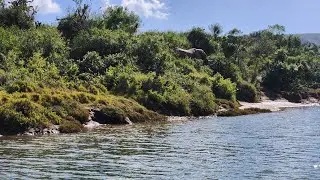Fishing the Bushmans River, Eastern Cape, South Africa, February 2026