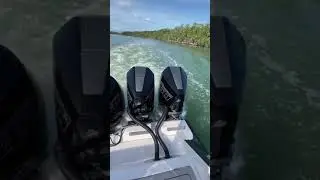 [The Best Boat] Those pop up speakers are awesome on this Best Boat