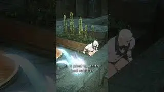 FFXIV - Things You Might Have Missed: A Manderville in Mor Dhona (featuring Ruby)