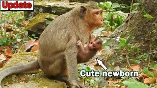 So cute newborn! Young mom Julina got adorable newborn male baby face so cute