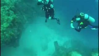 Off the Wall Diving