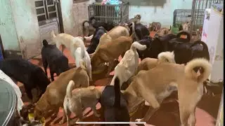 Hôm nay các bé ăn mừng quà Giáng Sinh của Bác Hưng tặng, cảm ơn Bác Hưng rất nhiều !!