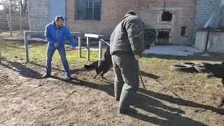 VID 20200216 125306 cut 001