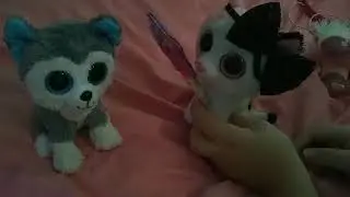 Beanie Boo Mix out of context