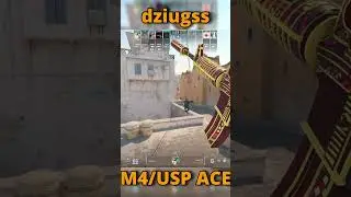 dziugss M4/USP ACE | FACEIT HIGHLIGHTS | #shorts #cs2 #faceit #dziugss