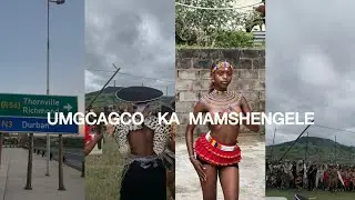 UMGCAGCO KA MAMSHENGELE:UKUSINA/IBUTHO-ARMY/CONTENT/REDBULL SPONSORED US🌸🤍