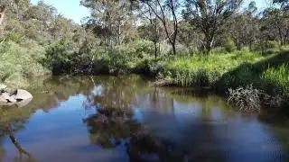 Postie Camping - Uralla NSW