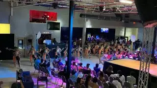 Captivating Cats Open for Fashion Show