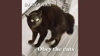 Obey the cats