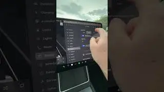 How to change display color on a Tesla model Y