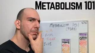 Metabolism 101