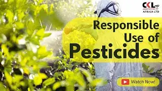 Responsible use of pesticides.