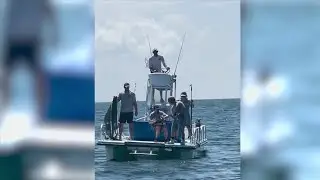Florida bill seeks to shield endangered species from exploitation