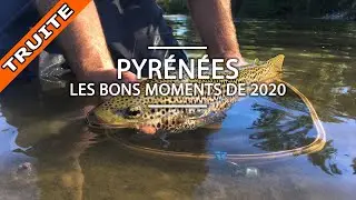 PÊCHE à la TRUITE dans les PYRÉNÉES ► FESTIVAL de CAPTURES
