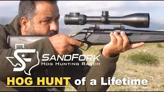 Welcome to SandFork Texas Hog Hunting Ranch