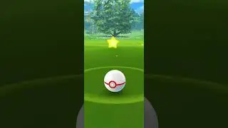 I got a special Shadow Articuno