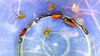 I do not lie. Look, this insect has a very unique color