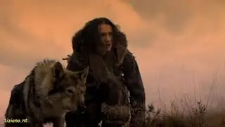 Amico - Renato Zero - Io e Te... Lo Stesso Pensiero...