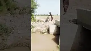 village life in Sindh Pakistan#shortvidio#rural sindh#short#rurallife# sobhari sindh