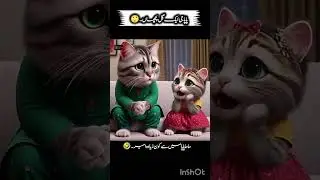  Punjabi Cat video enjoy ||Cat video||🤪🤣#viralvideo #funny #viralvideo Trending 