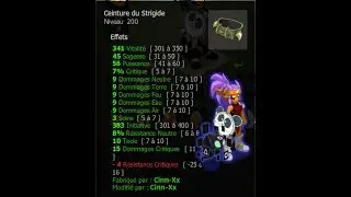 [DOFUS] BRISAGE PA CEINTURE STRIGIDE - SPEED FM OPUS 1