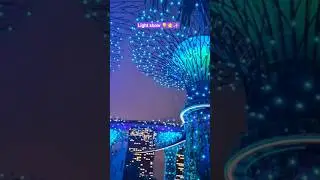Singapore 🇸🇬 trip: Light show at Gardens by the Bay ✨🌃 #Singapore #Trip #Lights #Gardens #Bay #show