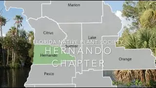 Hernando Chapter Florida Native Plant Society