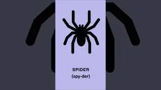 Pronounce Spider in English