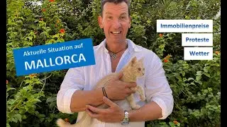 Mallorca - Extremwetter - Proteste - Immobilienpreise - August 2025 - TERHÜRNE PROPERTIES