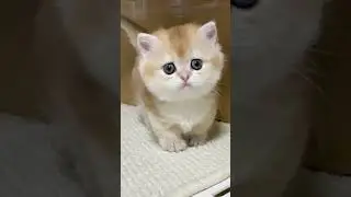 cute kids angel 🥰🥰🥰