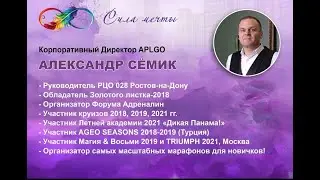 Маркетинг план компании APL