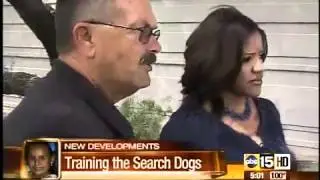 Trained search dogs put to the test