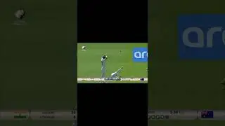 WTC 23#wtcfinal #indvsaus #cricket
