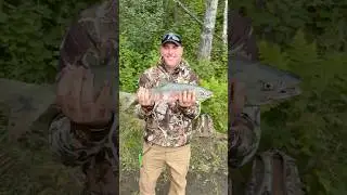 Catching Alaskan CHUM SALMON On Skein! #salmon #alaska #fish #fishing #trout #michigan #outdoors #mi