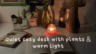 Lofi music for relaxing | cozy desk ambience | 3 hours
