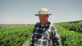 Raízes de confiança com Verango® Prime – Sítio Santa Tereza