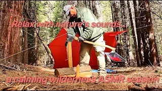 Calming ASMR Wilderness Nature Bushcrafting  - Creek Water Sounds, Wood Chopping, Crackling Campfire