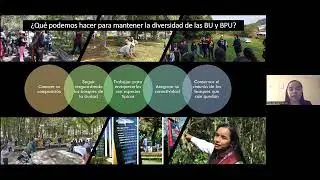 Bosques urbanos y su importancia