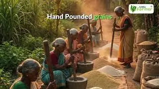 Life Before Big Industries Took Over | Bull Driven Oils | Chemical-Free Food | Little Farmer